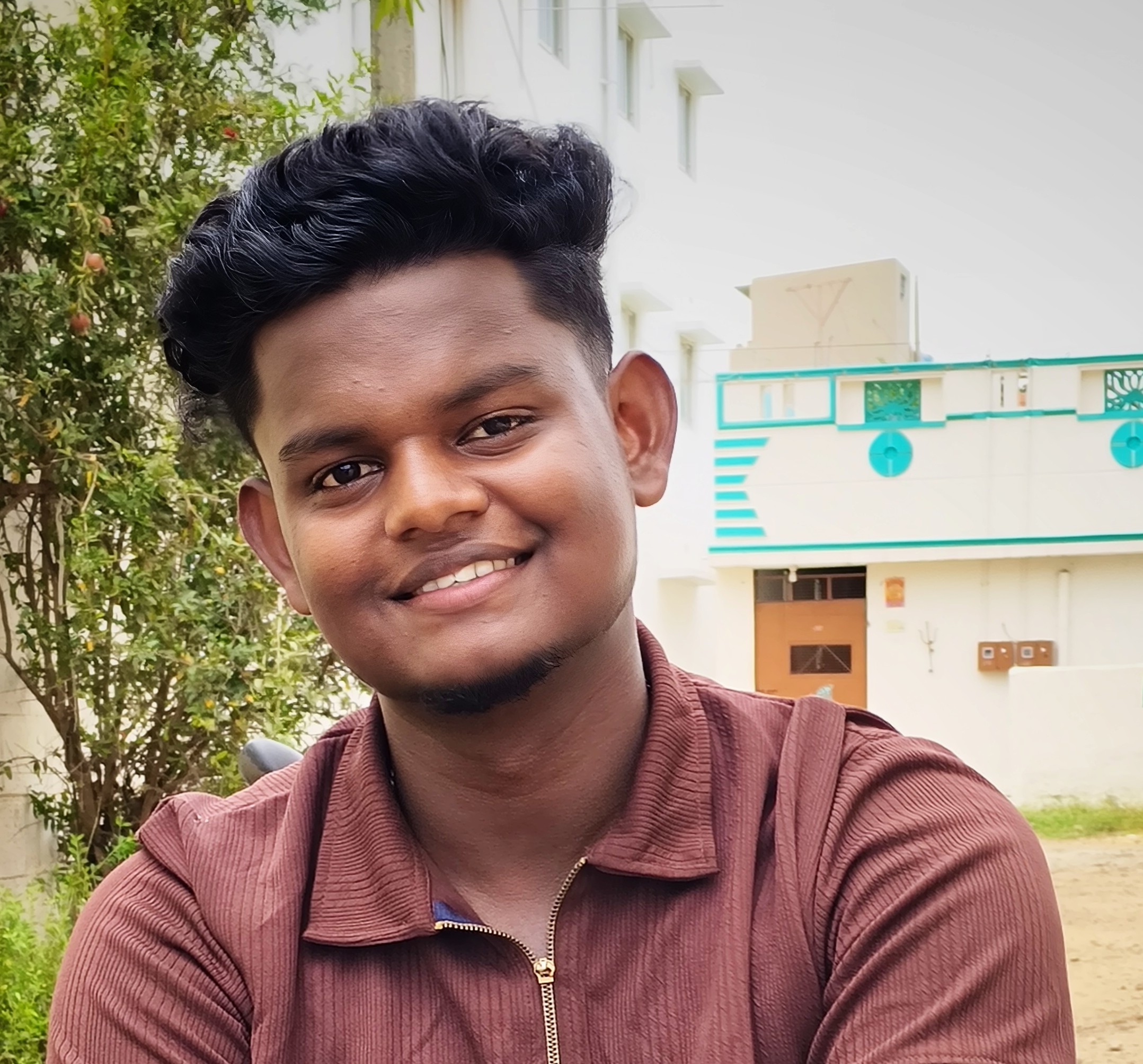 VISWESHWARAN P